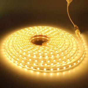 شرائط 220 فولت LED 120leds 8W/M مع قابس الاتحاد الأوروبي ومحول لإضاءة الزخرفة عالية السطوع فاتحة مضادة للماء استخدام شريط LED