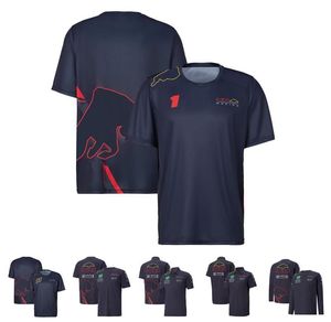 2022 F1 Takım Üniformaları Formül 1 Kısa kollu yarışlar Erkek ve Kadınlar Artı Beden T-Shirt Özelleştirme