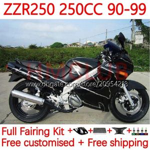 Kawasaki Ninja ZZR250 ZZR-250 90 91 92 94 94 95 96 97 98 92 94 94 95 96 97 ZZR 250 CC 1990 1997 1998 1999 1999 1996 1997 1998 1999 OEM Kara Gümüş