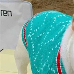 デザイナーレター高級ブランドドッグアパレルファッション冬の温かいパーカー猫犬クラシックアニマルセーターカジュアルスポーツペットコート衣類jk56