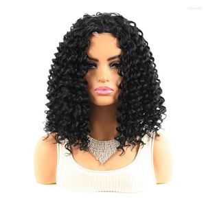 Synthetic Wigs Jeedou Short Curly Hair Lace Wig Black Brown Mix Color Fluffy Hairstyle Women's Tobi22