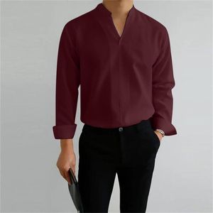 Mens T-shirts Purple Top For Men Mane Casual Business Solid V Neck T Shirt Blus långärmad stativ krage toppar vit bomull tunicmens2024