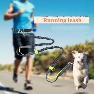 Dog Running Leashes Puppy Lead Collar with Bag Sport Waist Chihuahua Long Rope Puppy Collar Dogs Training Accessories 201101