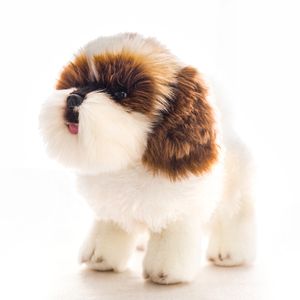 Kwaliteit realistische dieren poedel pluche speelgoed mini simulatie witte honden pop kinderen cadeau sofa auto decoratie 26x23cm dy10082