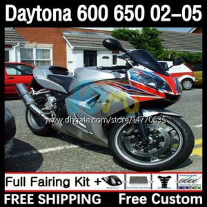 OEM Body для Daytona650 Daytona600 2002-2005 Bodywork 7dh.209 Daytona 650 600 CC 600CC 650CC 02 03 04 05 Daytona 600 2002 2003 2004 2005 Abs Fairing Kit Silver Black Black Black Black Black