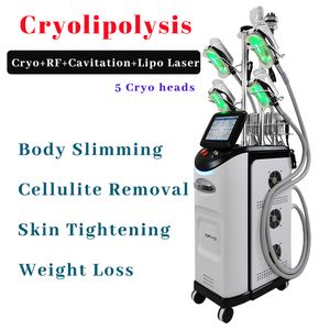 Cryo二重顎の除去脂肪凍結の低分解分解の美容機の減量腹部治療が侵襲的でない