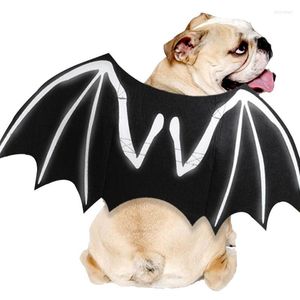 Costumi per gatti 1PCS Ali per animali domestici di Halloween Costume da pipistrello divertente riflettente Cucciolo regolabile Cosplay Trasformazione creativa del cane