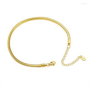 Anklets Spring Nogi Łańcuch dla kobiet emo stopa Kanor Tytanium Złota Kolor 18K Not Fade Alergic Snake Bracelets Biżuteria Summer Roya