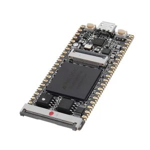 Интегрированные схемы 64Мбит SDRAM на борту FPGA Downloader Dual Flash RISC-V Modele Module