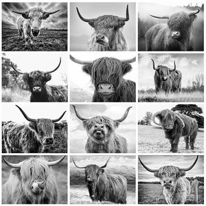 Nordic Style Highland Cow Black White Animals Canvas Painting Plakat i druki sztuki ścienne Streszczenie Zdjęcia Dekorowanie domu cuadros