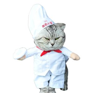 Lustiges Katzenkostüm, Chef-Stil, Kleidung für Hunde, Halloween, Cosplay-Anzug für Katzen, lustige Haustierkleidung, Welpen, Weihnachten, Neujahr, Outfit 201111