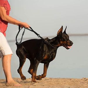 Collari per cani Guinzagli Materiale in nylon ad alta resistenza Per cani di taglia grande e media Guinzaglio tattico retrattile per esterni Le