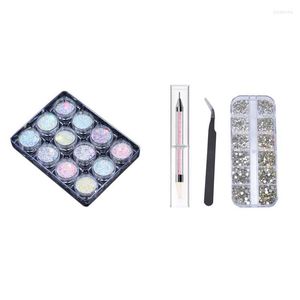 Nail Glitter Stones With Pick Up Tweezer And Rhinestones Picking Pen & Powder Pigment Set Fluorenscence Spangle Prud22