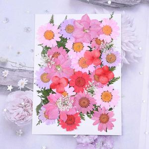 Wholesale shell wreath diy for sale - Group buy Decorative Flowers Wreaths Small Dried Pressed DIY Preserved Flower Epoxy Phone Shell Dry Material Embossed Face Petal Makeup