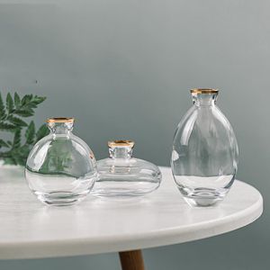 Vazen 3 Stuk Set Bloem Vaas voor Tafeldecoratie Woonkamer Glas Terrarium Ornamenten Kleine Water Hydroponics