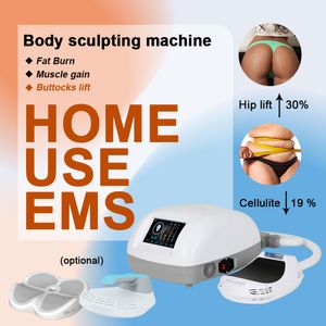 Uso domestico 1 Maniglia EMSlim Mini Neo Tecnologia elettromagnetica Macchina per scolpire il corpo EMS Costruzione muscolare Brucia grassi Massaggio Strumento rassodante stomaco addominale