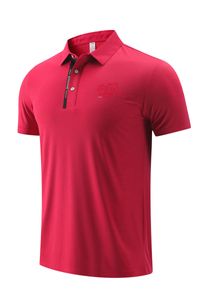 22 Schweiz Polo Leisure-skjortor för män och kvinnor på sommaren andningsbara torrisnät Tyg Sport-T-shirt-logotyp kan anpassas