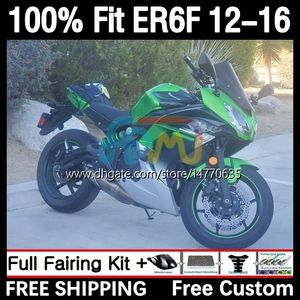 Kawasaki ninja için enjeksiyon kalıp gövdeleri 650R ER-6F ER6 F 2012 2013 2014 2015 2016 gövde 11dh.84 650-r 650 r 2012-2016 er6f 12 13 14 15 16 oem kaplama siyah yeşil