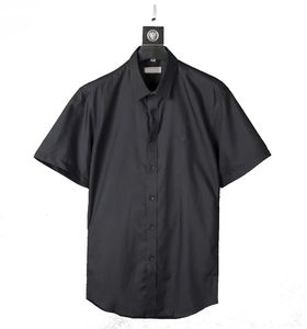 Mäns Klänning Skjorta Bberry 4 stilar Mens T Shirts Hawaii Letter Printing Designer Shirt Slim Fit Men Mode Långärmad Casual Man Kläder M-3XL # 29
