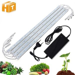 DC12V 5630 LED Bar Starrer Streifen IP68 Wasserdichte LED Grow Plant Growing Light Rot Blau 3x1 Für Rium Gewächshaus Hydroponic Y200917