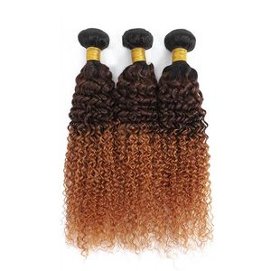 Kıvırcık Kıllar Saç toptan satış-Ön renkli Malezya Kıvırcık Saç Uzantıları B Kahverengi Ombre İnsan Saçları Dokunma Remy Olmayan Afro Kinky Curl Demetleri