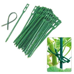 Forniture da giardino Fascette da giardino riutilizzabili Supporto per piante Arbusti Chiusura per alberi Strumenti in plastica regolabili in nylon