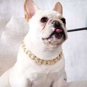 Dog Collars Pet Teddy French Bulldog Bully Gold Chain Small and Medium Dogs Collar Pet Necklace Jewelry Accessories Pets SuppliesInventory Wholesale