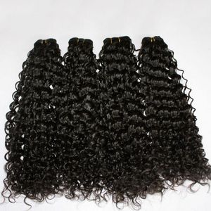 Super qualidade indiana Curly Virgin Virgin Weaving Wet