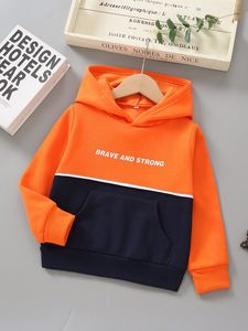 Toddler Boys Letter Grafik Colorblock Kanguru Cep Termal Hoodie O