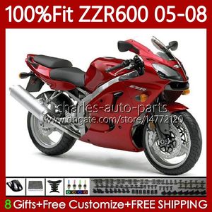 Spritzgusskörper für KAWASAKI NINJA 600CC ZZR600 05 06 07 08 Karosserie 134Nr