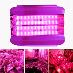 Grow Lights Light 50W 100W Full Spectrum Indoor Greenhouse Lamp For Medicinal Plants Flower Vegetable SeedsGrowGrow