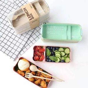 Lunch Box 3 Grid Paglia di grano Bento Contenitore per alimenti con coperchio trasparente per viaggi di lavoro Contenitori per scatole da pranzo per studenti portatili BBE14057