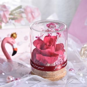 Eternal Kwiat Glass Cover Forever Rose Sztuczne Kwiaty Dekoracje Ślubne Naturalne Suszone Kwiaty Prezent do Girlfriend Home Deco