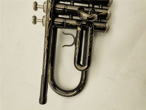 Trompetenentwürfe großhandel-BB Trompete schwarzer nickel silbertiertes Musikinstrument exquisit geschnitztes Design mit Gehäuse
