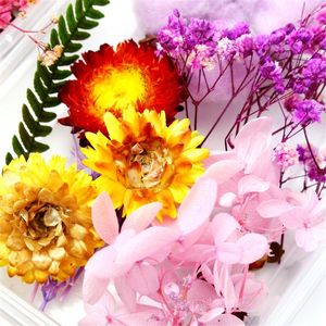 Fiori decorativi Ghirlande Scatole Naturali Colorati Essiccati Per la festa Festa di Natale Decorazione domestica Vera pianta secca Rosa Fai artigianato fai-da-te Ac