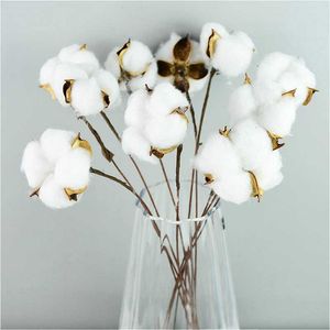 Decorative Flowers & Wreaths 10pcs Naturally Dried Cotton White Home For Wedding Bridesmaid Bouquet Party Decor Fake Flower