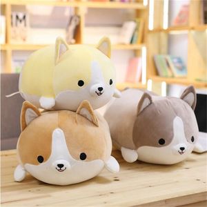 Drop Cute Cute Corgi Dog Pluxh Toy Pillow de desenho animado macio de animais macio adorável presente de natal para crianças kawaii lj201126