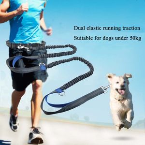 Dog Collars Leashes Pet leash outdoor running reflective double retractable rope dog chain