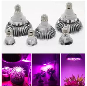 LED Phyto Lights Full Spectrum W W W E27 LED Grow Light Fitolampy Bulbs SMD LEDs Lamp For Plants Seeding