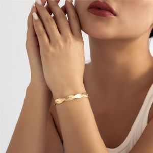 Unik Twisted Flat Snake Chain Armband till hands för kvinnor Sexig Vintage Aircraft Link Charm Bangles Par Friends Jewelry 2022