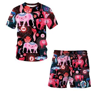 象の夏3DプリントメンズTシャツショーツセットメンズスポーツウェアトラックスーツoネックショートスリーブメンズ衣料品スーツ220624