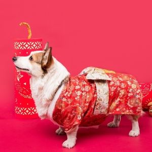 Уэльсская одежда для собак Corgi Winter Pet Coat Jacket Shiba In