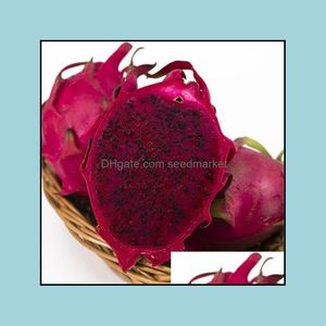 Dekoracyjne kwiaty wieńce świąteczne dostawy przyjęcia domowego ogrodu disted prezent 20pcs/set pitaya bonsai drzewo owoce tkzh4