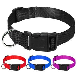 20pcslot Wholesale Nylon Dog Collar Adjustable Dogs Collars For Small Medium Pets Cats Red Blue Black Purple Y200515