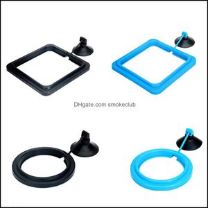 Fish Feeding Aquarium Tank Ring Feeder Station Floating Food Water Plant Buoyancy Circle 1Pcs Drop Delivery 2021 Aquariums Pet Supplies Ho