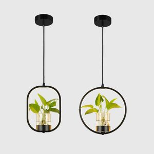 Nowoczesna lampa wisząca woda LED towarzysząca lampie wisiorek roślin wyposażenia