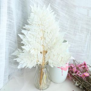 Flores decorativas grinaldas secas plantas frescas e preservadas secas folhas secas e eternas para sempre para DIY Home Flower BouquetDecoration Wrea