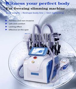 360 graus Cryolipolysy Body emagrecimento crioterapia anti-celulite gordura máquina de congelamento da pele apertando laser laser multifuncional máquina de beleza