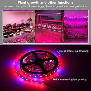 Grow Lights Plant Light SMD Hydroponic Systems Bar Flowers And Waterproof DC 12V Strip LightGrow LightsGrow