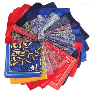 Bow Ties Tailor Smith Men Paisley Pocket Square Microfiber Print Hankerchiefs Blue Burgundy Floral Hankies Fashion Suit HankyBow Enek22